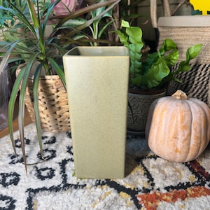 May include: A tall, rectangular, speckled, light green vase. The vase is empty and sits on a patterned rug. The background includes various potted plants and a small pumpkin, suggesting a home decor theme.