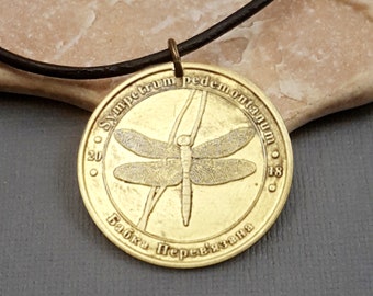 Dragonfly Necklace or keychain. Ukraine commemorative coin. Dragonfly jewelry. Medallion. Banded Darter. Animal series. gifts for her