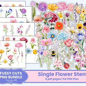 PNG de flores / Recortes florales / Pegatinas digitales de flores / Flores de un solo tallo / Kit de diario de flores / Efímeras florales botánicas
