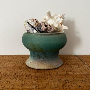May include: A small, teal-colored ceramic bowl with a pedestal base, filled with seashells. The bowl has a textured, aged appearance. The seashells are white, tan, and pink, adding a natural contrast to the bowl's color.