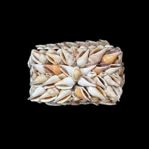 May include: A rectangular box covered in a dense arrangement of small, pointed sea shells. The shells are primarily cream, beige, and light brown in color, layered closely together to create a textured, organic surface across the entire exterior.