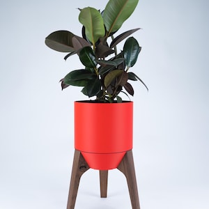 Jardinière d'intérieur surélevée de 210mm (5.25'') / pattes courtes, Essences de bois variées, Pot avec réservoir amovible, auto-arrosant.
