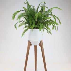 Jardinière d'intérieur surélevée de 210mm (8.25'') / pattes moyennes, Essences de bois variées, Pot avec réservoir amovible, auto-arrosant.