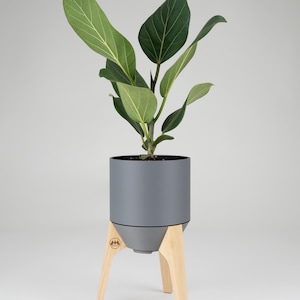 Raised indoor planter 121mm (4.75''), Various wood species, Pot with removable reservoir, self-watering.