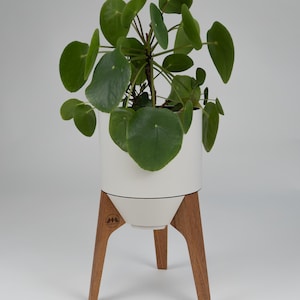 Raised indoor planter 165mm (6.50'') / short legs, Various wood species, Pot with removable reservoir, self-watering.