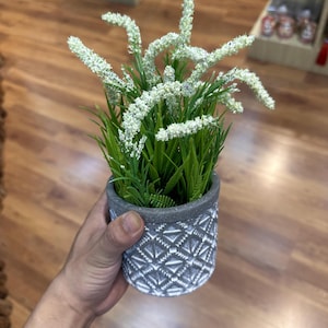 May include: A small potted plant with white flowers and green leaves. The pot is gray with a geometric pattern. The plant is held in a hand.