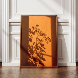 May include: A rectangular wall art print in a thin wooden frame featuring a vibrant orange background with a dark, sharp shadow cast by a leafy plant. The composition displays a clear contrast between the bright orange surface and the dark silhouette.