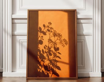 Lámina artística Sombra de Terracota, decoración de pared botánica bohemia, póster con luz cálida de atardecer en ventana, sin marco.