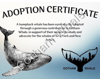 Adopta una ballena jorobada de Nueva York de Gotham Whale.