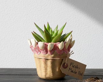 Horror Planter - Teeth Plant Pot, Hand painted Gothic Sculpture