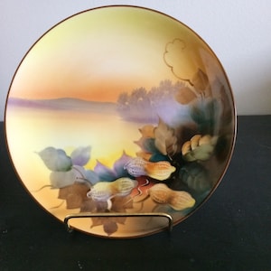 Handpainted Noritake Plate