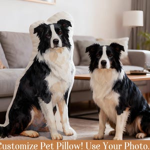 May include: A custom pet pillow shaped like a Border Collie dog, next to a real Border Collie. The pillow is black, white, and tan, with the text "Customize Pet Pillow! Use Your Photo."