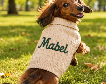 Personalized Dog Sweater with Name, Custom Embroidered Puppy Jumper, Cozy Knit Pet Clothes, Small Dog Gift, Dog Mom Gift, Pet Birthday Gift