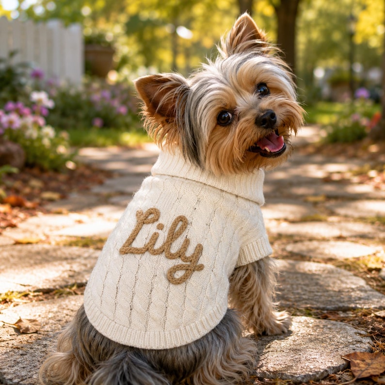 May include: A small Yorkshire Terrier dog wearing a cream-colored cable knit sweater with a high collar. The sweater features the name Lily embroidered in brown script lettering on the back. The dog has tan and gray fur and is looking back.