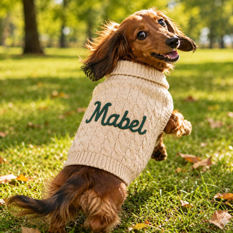 May include: A long-haired dachshund wearing a beige cable-knit sweater with a turtleneck collar. The sweater features the name Mabel embroidered in dark green cursive script across the back, with ribbed trim at the neck and hem.