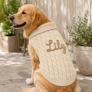 May include: A golden retriever wearing a cream-colored cable knit dog sweater. The sweater features a ribbed collar and hem, with the name Lily embroidered in brown script lettering across the back of the garment, showcasing a textured knit pattern.