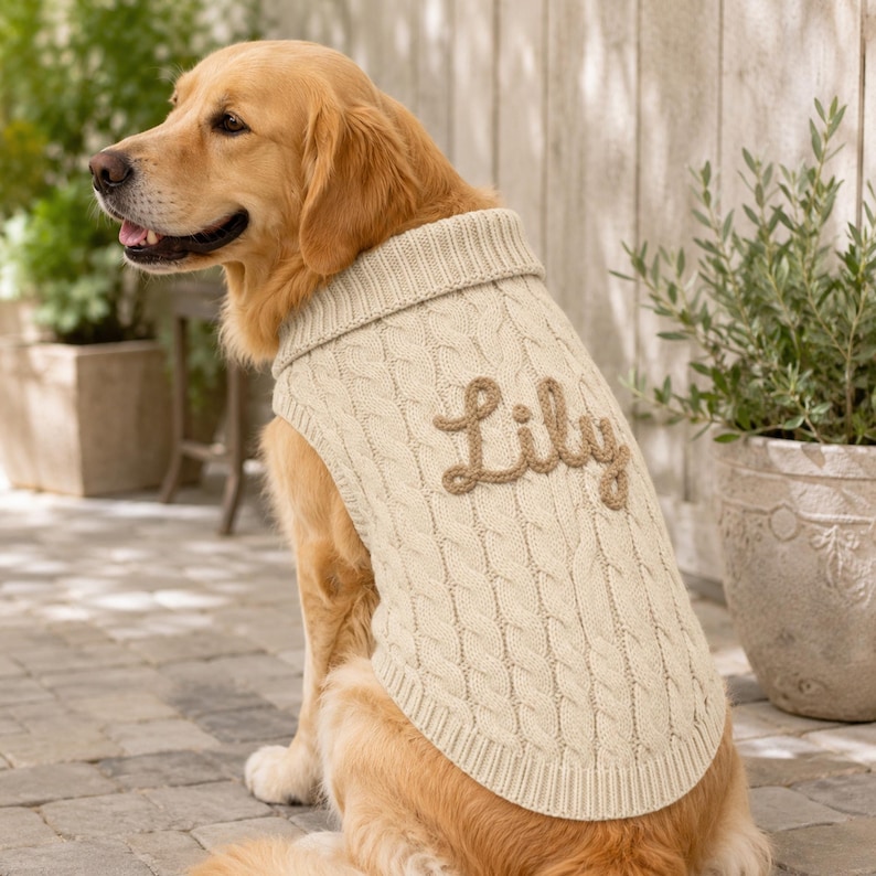 May include: A golden retriever wearing a cream-colored cable knit dog sweater. The sweater features a ribbed collar and hem, with the name Lily embroidered in brown script lettering across the back of the garment, showcasing a textured knit pattern.