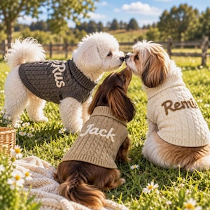 Könnte beinhalten: Drei Hunde tragen Zopfmuster-Pullover in Anthrazit, Beige und Creme. Der anthrazitfarbene Pullover trägt den Namen Rus, der beige Pullover den Namen Jack und der cremefarbene Pullover den Namen Remi in erhabener, gestickter Schrift.