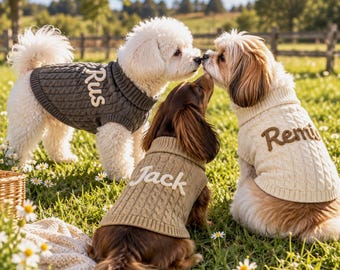 Custom Dog Sweater with Name, Personalized Puppy Jumper, Hand Embroidered Pet Clothes, Cozy Knit Dog Gift, Dog Mom Gift, Pet Birthday Gift