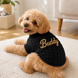 May include: A light brown poodle wearing a black cable-knit sweater with the name Buddy embroidered in gold script on the back. The sweater features a ribbed collar and hem, providing a snug fit for the dog while showcasing the textured pattern.