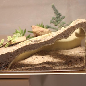 May include: A clear, rectangular terrarium with a layered sand and soil landscape. The interior features a curved, light-colored structure, small rocks, and artificial plants. The terrarium is designed to house small animals.