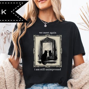 Kattspegelgrafik, rolig kvickhet, filosofisk humor, självreflektion