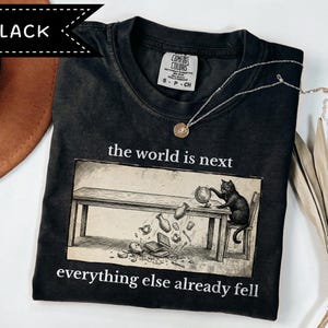 Pode incluir: T-shirt preto com gráfico e texto "the world is next everything else already fell" e ilustração de gato. Um colar de prata com pingente está na camisa. Marca Comfort Colors.