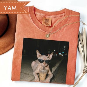 Könnte beinhalten: Ein kurzärmeliges T-Shirt in gebranntem Orange mit einem Grafikdruck einer haarlosen Katze, die eine schwarze Sonnenbrille trägt und einen durchsichtigen Plastikbecher mit Strohhalm hält. Das Shirt hat einen Rundhalsausschnitt und ein Comfort Colors Etikett.