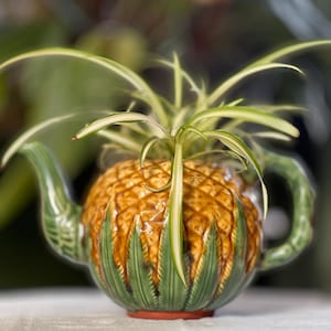 May include: A ceramic teapot planter shaped like a pineapple, with a green handle and spout. The pineapple body is brown with a textured surface, and green leaves form the base. A green and white plant sprouts from the top.