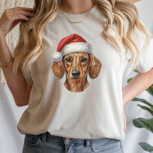 Jultax Patchwork PNG, Santa Hat Dog Clipart