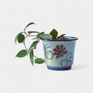 Puede incluir: Una pequeña maceta de cerámica azul claro con borde y base azul oscuro. La maceta presenta un diseño floral en borgoña y espirales azules. Una planta verde con hojas ovaladas crece de la maceta.