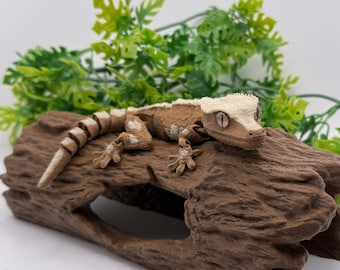 Articulated Crested Gecko 3D Printed Fidget Figurine | Reptile Desk Toy
