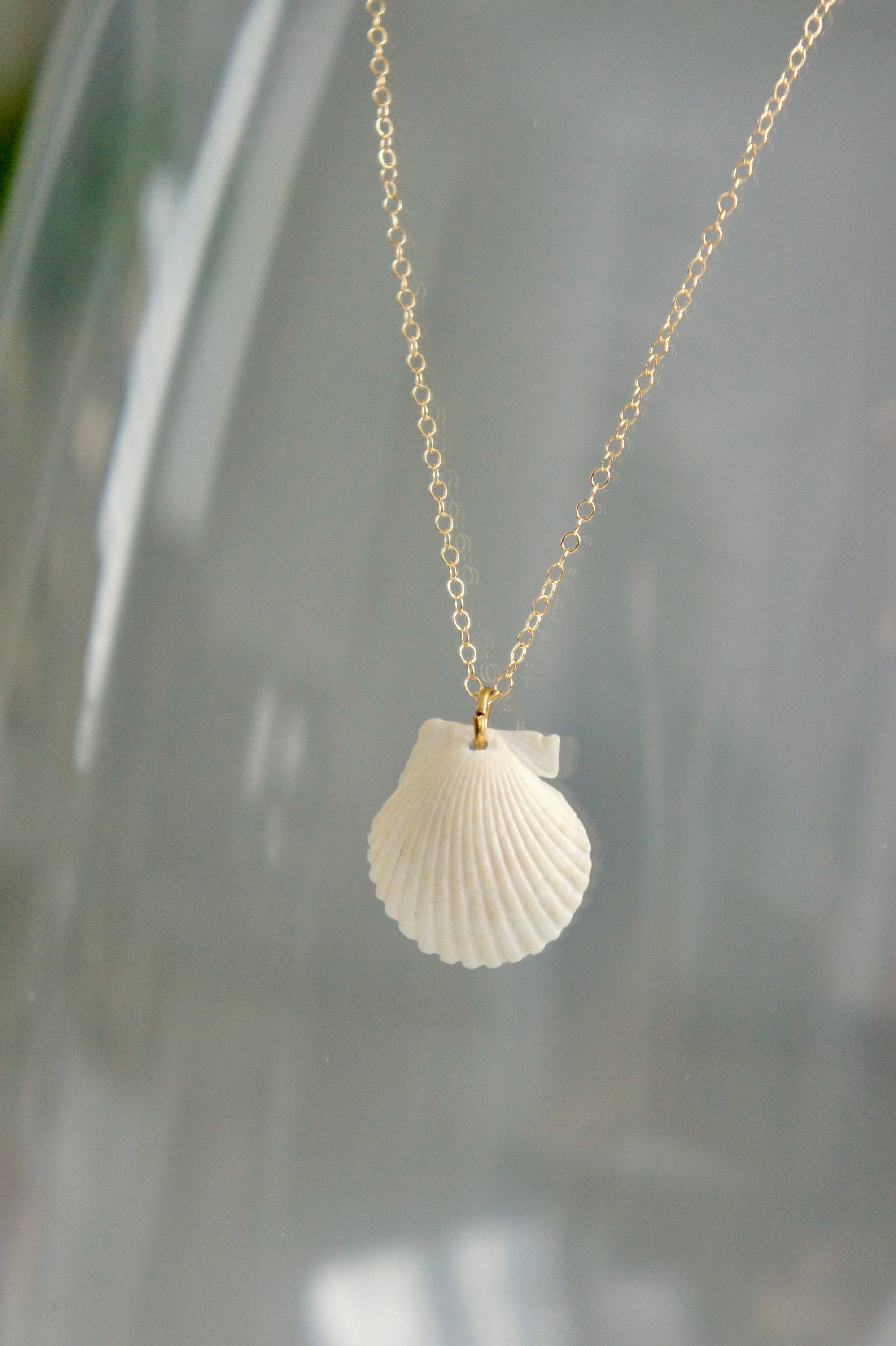 Cream shell necklace shell pendant scallop shell jewelry Etsy