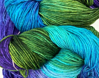 Dragonfly Colorway on DK Weight Superwash Merino Hand Dyed Yarn 550 yards 8 ounces Knitting Crochet Weaving