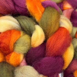Canyon on BFL Hand Dyed Roving