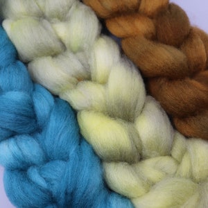 Swamp Gas Singles on BFL Hand Dyed Roving