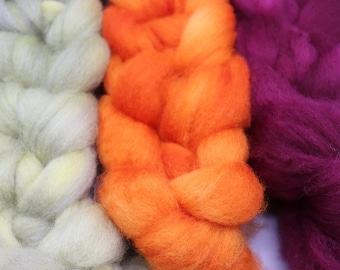 Canyon Singles on BFL Hand Dyed Roving