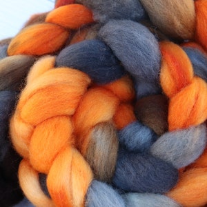 Sleepy Hollow on BFL Hand Dyed Roving