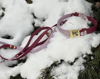 Biothane Collar and Leash Combo