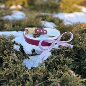 Peut inclure: Un collier pour chien avec un intérieur blanc, un extérieur bordeaux et une boucle dorée. Un nœud rose clair est attaché au collier. Le collier repose sur un lit de feuillage vert et de neige.