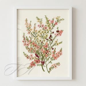 May include: A framed botanical print featuring a detailed illustration of flowering branches. The artwork showcases delicate pink, cream, and green hues, with small red berries. The print is set in a white frame, creating a clean and classic aesthetic.