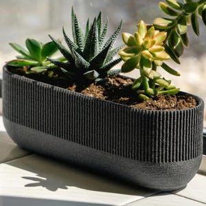 Può includere: Una fioriera rettangolare grigio scuro con dettagli a coste verticali, contenente una varietà di piante grasse. La fioriera è posizionata su una superficie bianca vicino a una finestra, con la luce del sole che illumina le piante. Le piante grasse hanno foglie verdi e gialle.