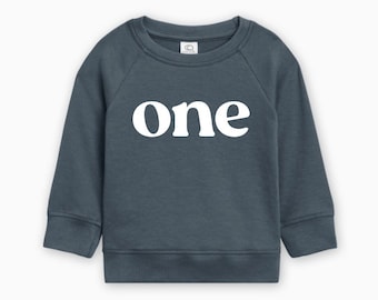 1st Birthday Pullover Organic Cotton, First Birthday Shirt, Birthday Party Pullover, Birthday Shirt, Birthday Outfit, Ollie and Penny, del