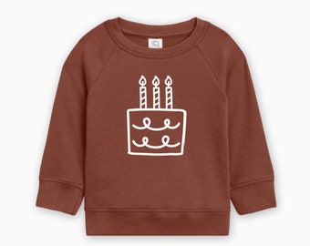 3rd Birthday Pullover Organic Cotton, Third Birthday Shirt, Birthday Party Pullover, Birthday Cake Shirt, Birthday Outfit, Ollie and Penny