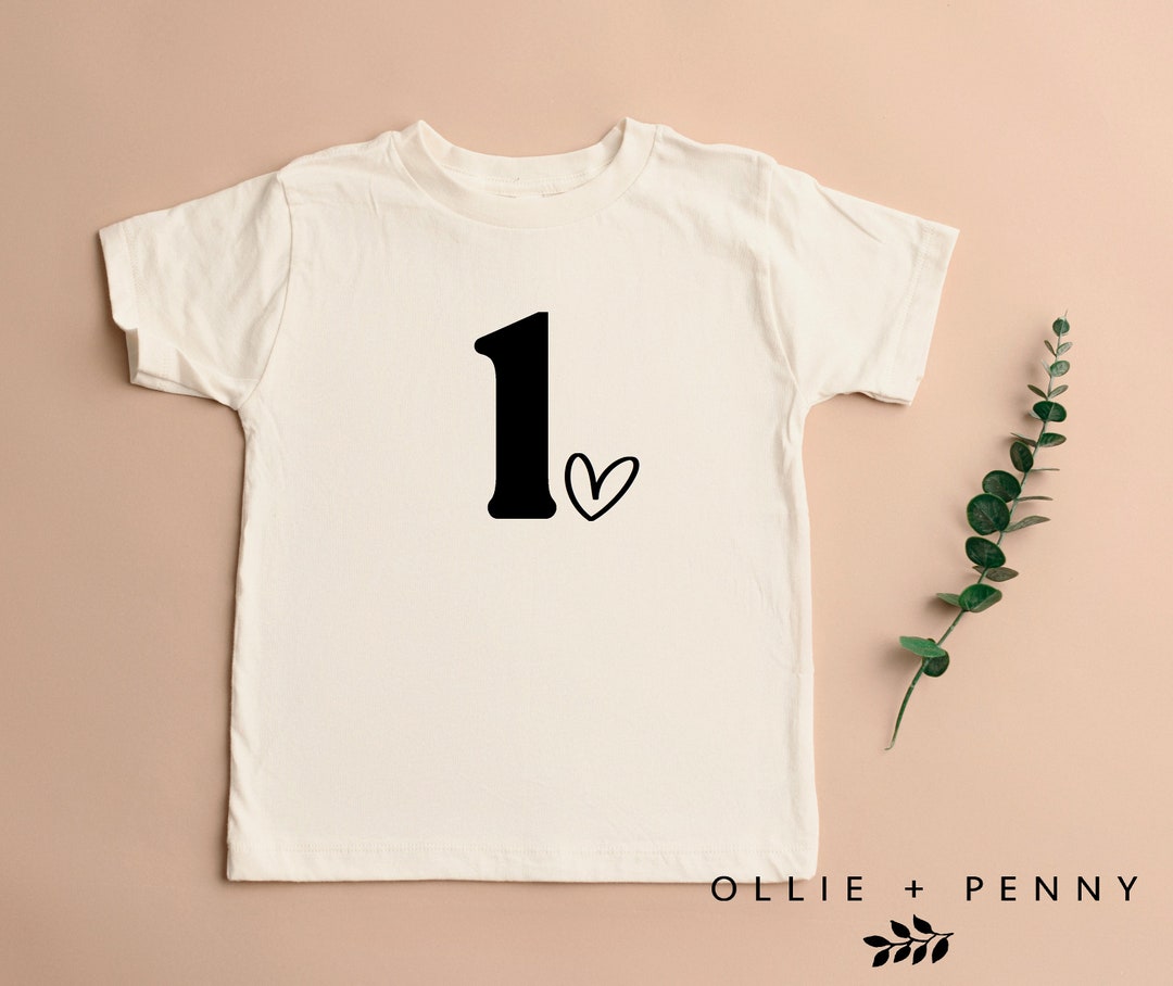 1st Birthday Shirt , First Birthday Shirt, Birthday Party Shirt ...