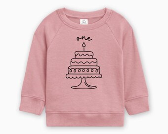 1st Birthday Pullover Organic Cotton, First Birthday Shirt, Birthday Party Pullover, Birthday Cake Shirt, Birthday Outfit, Ollie and Penny