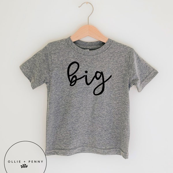 Big Middle Little Shirt, Little Bodysuit, Sibling Shirts, Coming home outfit, family photos, pregnancy announcement, gender reveal