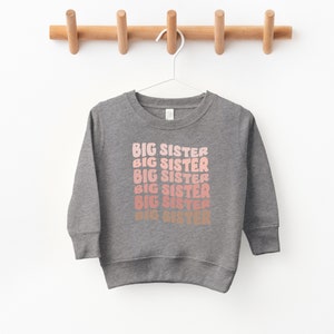 Big Sister Sweatshirt, Retro Big Sister, Big Brother Sweatshirt, Sibling reveal, Sibling announcement, Sibling shirts, DTF, Ollie and Penny