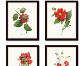 Red Botanical Print Set No. 5, Redoute Botanicals, Giclee, Art Prints, Red Flowers, Home Decor, Wall Art, Antique Botanical Art, Prints Sets