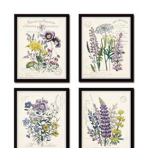 French Botanical Collage Print Set No. 2, Botanical, Print Set, Wall Art, Giclee, Prints, Vintage Botanical, Flower Prints, French Style Art